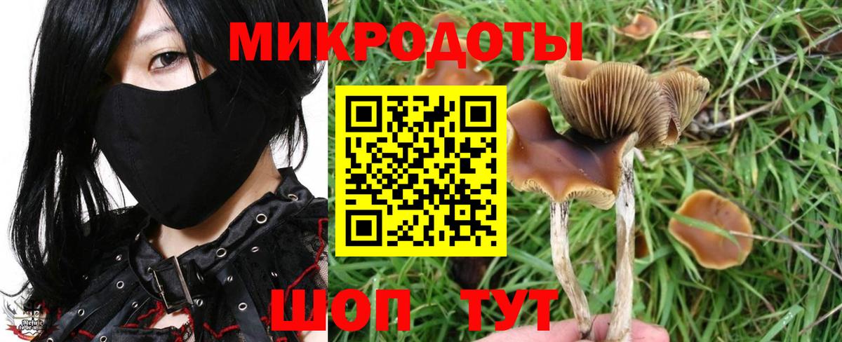 сколько стоит  Вход с VPN  Псилоцибиновые грибы Psilocybe  Ухта  Галлюциногенные грибы Psilocybe 